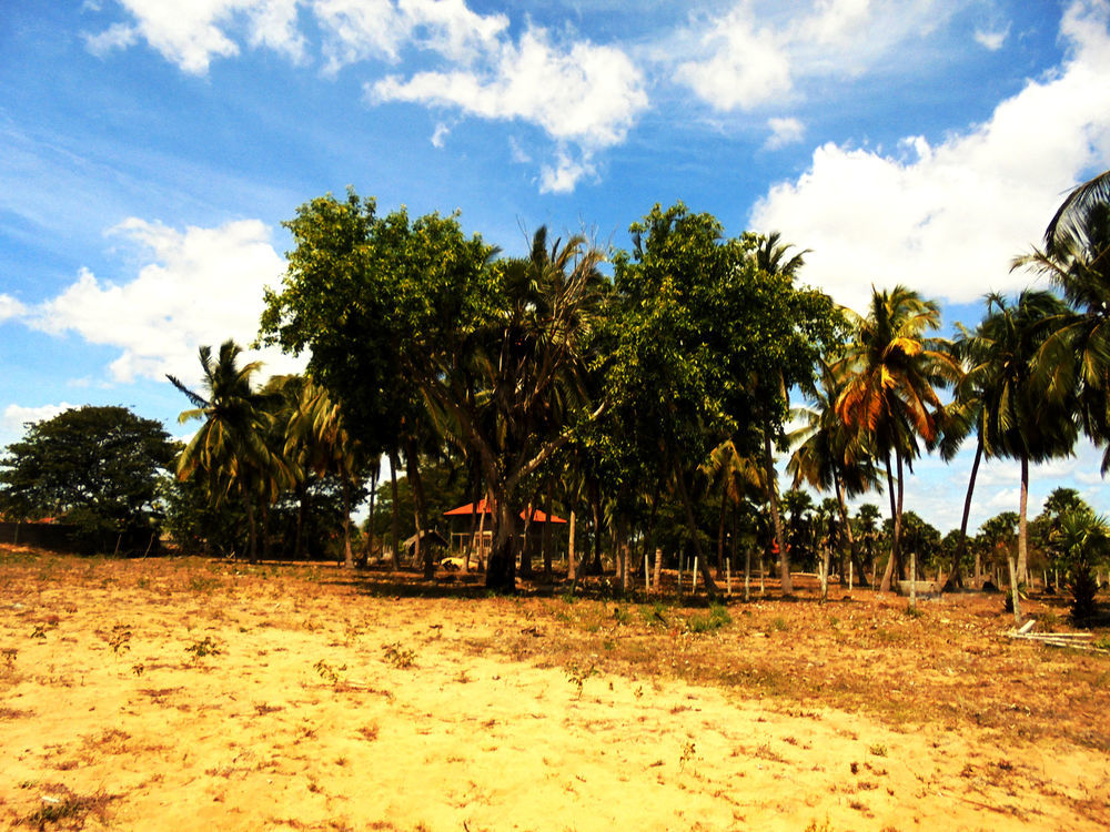 Chillax Bay Bed and Breakfast Arugam Bay Exterior foto